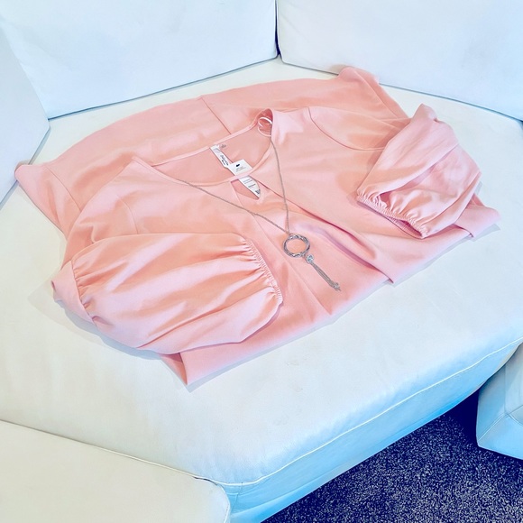 NWT (1X) New York Collection blush pink shift dress mini/knee long sleeves bling - Picture 4 of 12